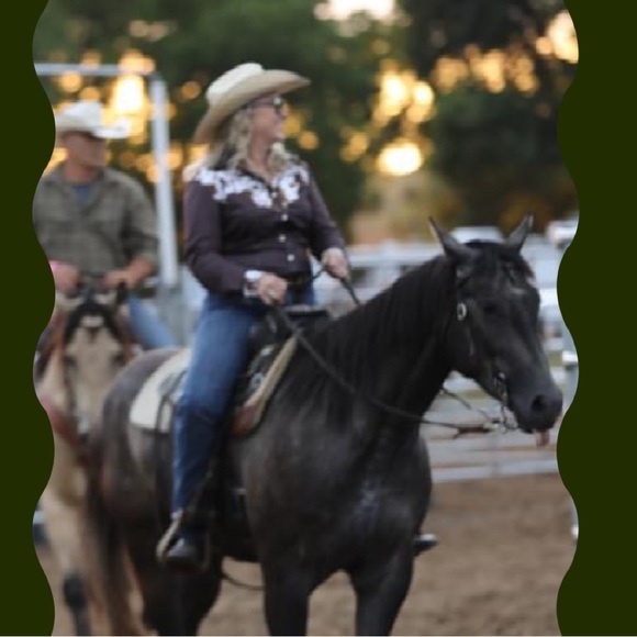 Meet your Posher, Wendy - Picture 2 of 4